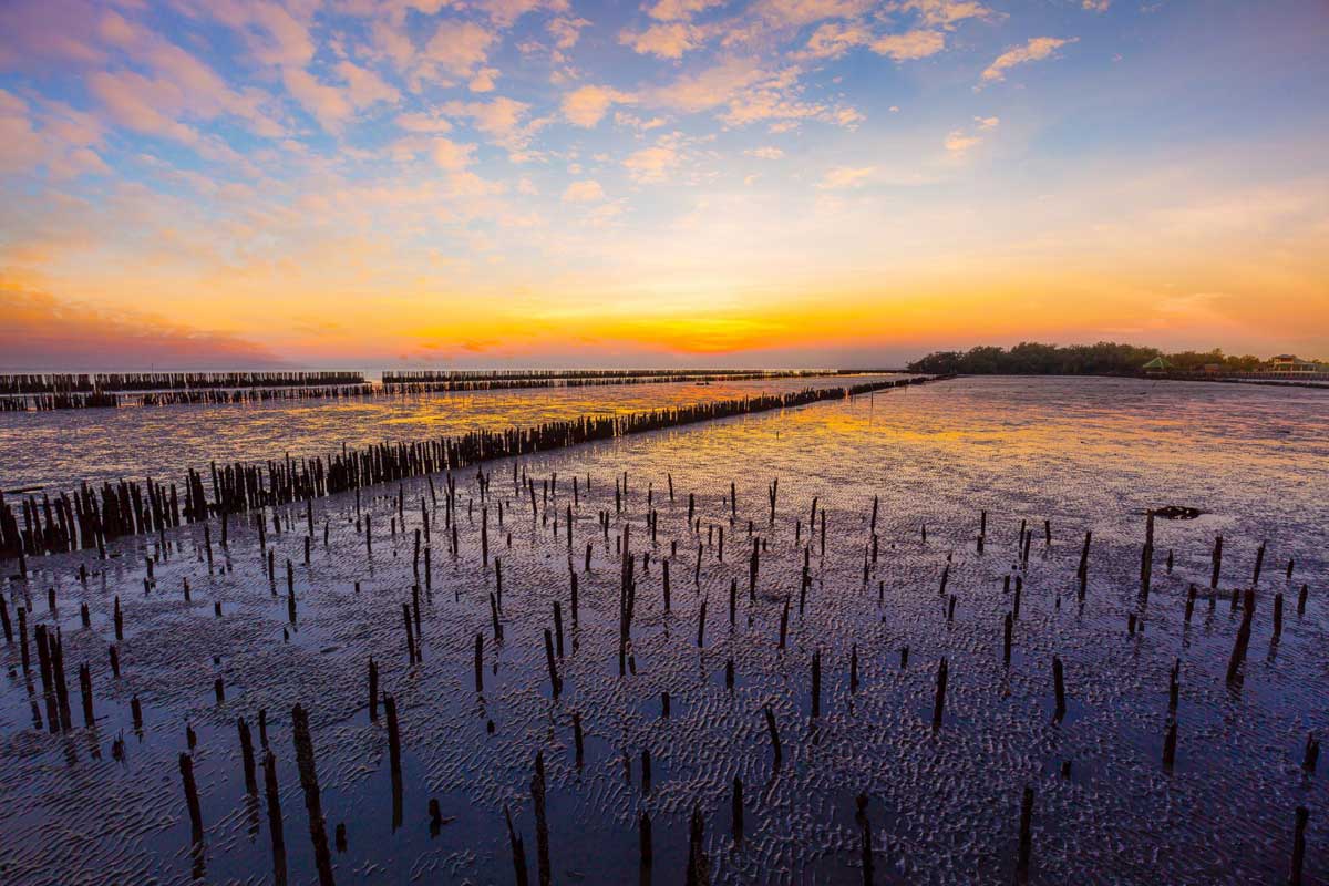 Paisaje del Delta del Ebro con humedales y entorno natural mediterráneo